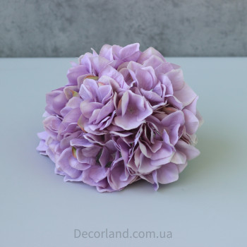 Гортензія 20 см mauve