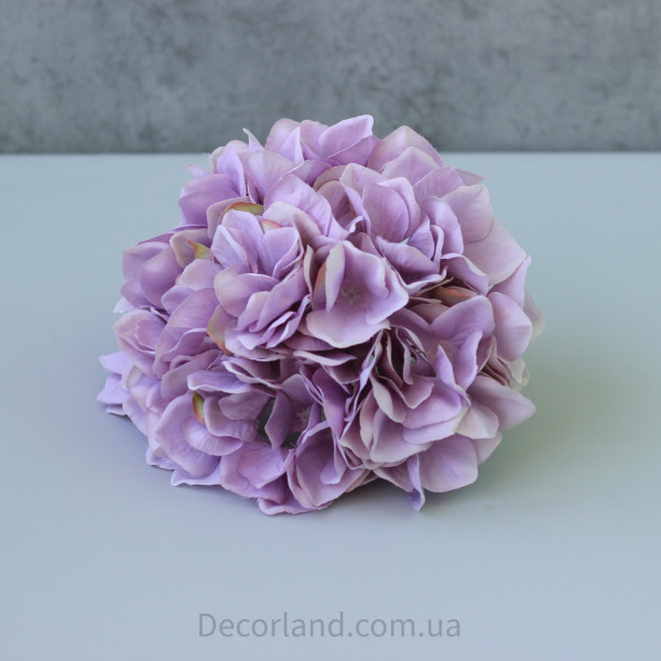 Гортензія 20 см mauve