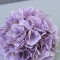 Гортензія 20 см mauve