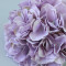 Гортензія 20 см mauve