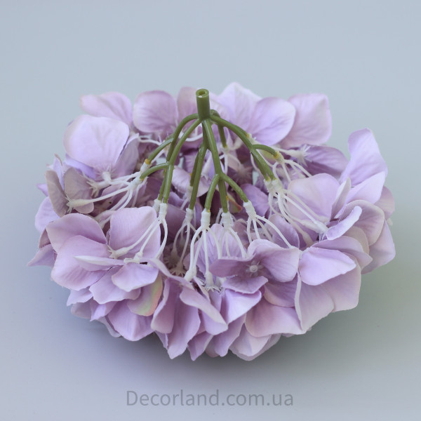 Гортензія 20 см mauve
