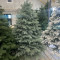 Ялинка Lux лита блакитна 260 см