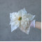 Пуансетія біла 26 см