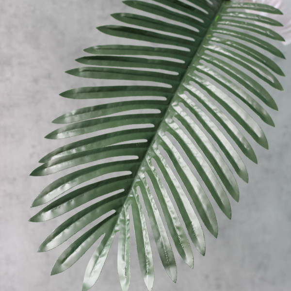 Листок пальми латексний №15096