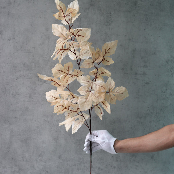 Зелень бежева 100 см №808