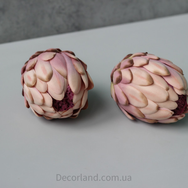 Протея кольору mauve