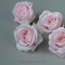 Троянда Аваланш рожева MGHT99