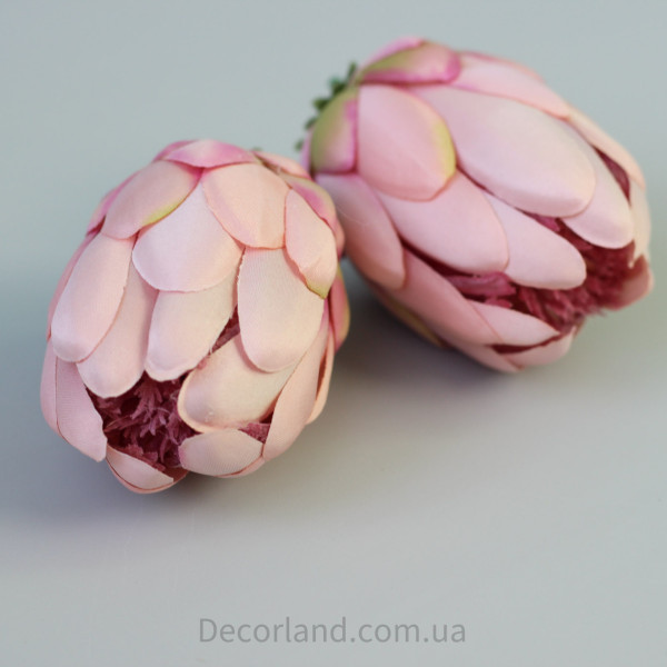 Протея рожева 10 см