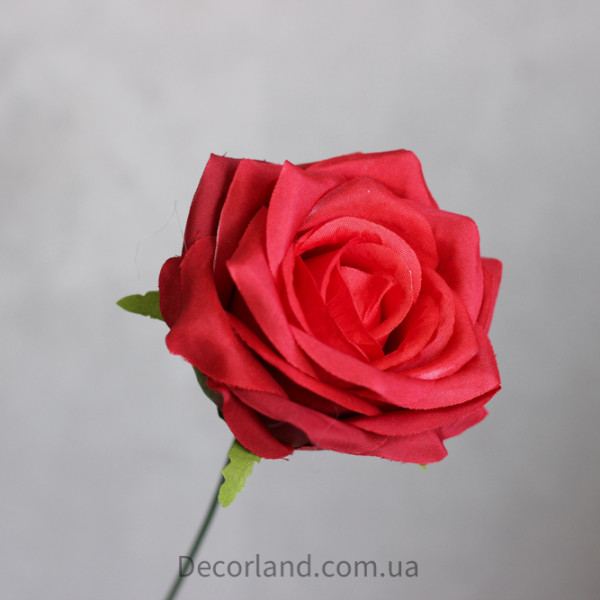 Троянда софія червона