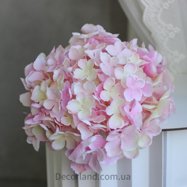 Гортензія baby pink 20 см
