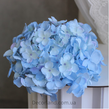 Гортензія baby blue 20 см