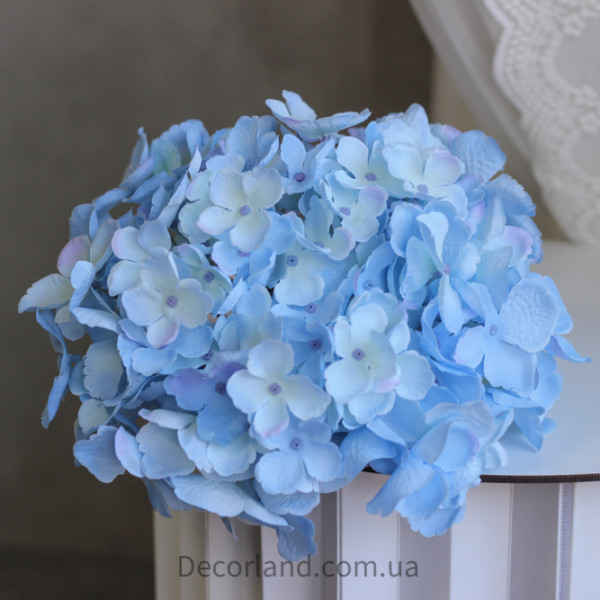 Гортензія baby blue 20 см