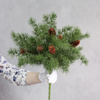 Великий кущ модрини з шишками