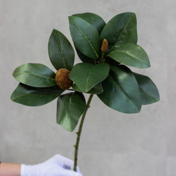 Гілка листя магнолії латексна
