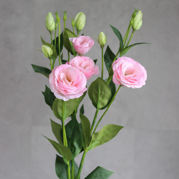 Еустома Premium PINK