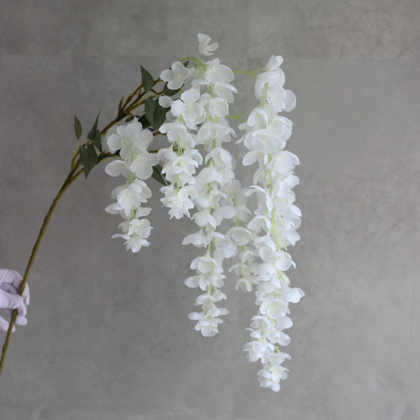 Гліцинія Х6 біла