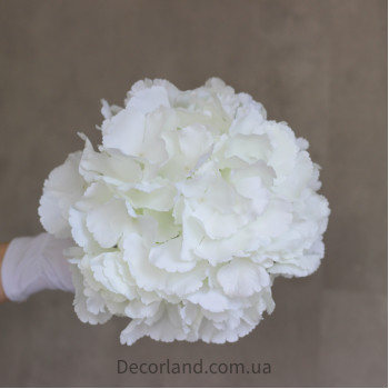 Гортензія молочна 24 см