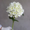 Гортензія латексна 3Д біла