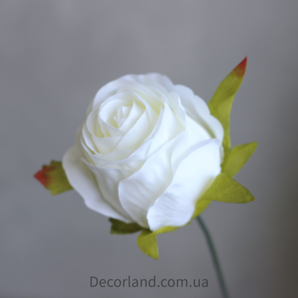 Бутон брайтон білий