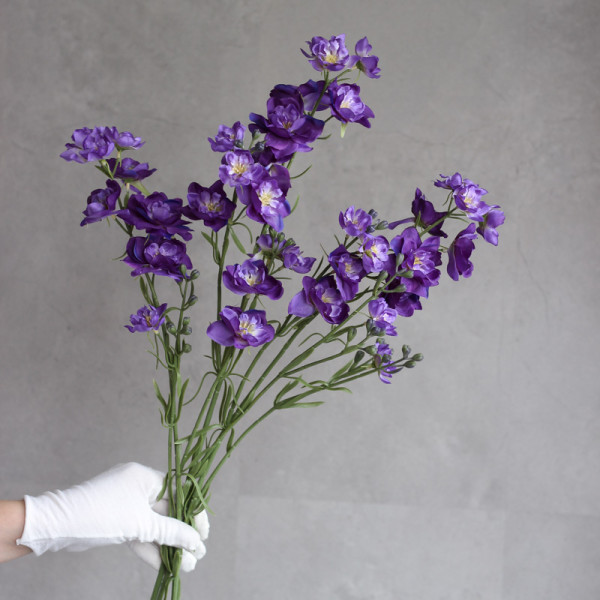 Дельфініум larkspur фіолетовий