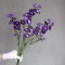 Дельфініум larkspur фіолетовий