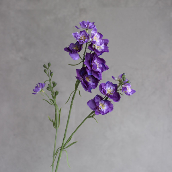 Дельфініум larkspur фіолетовий
