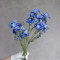 Дельфініум larkspur синій