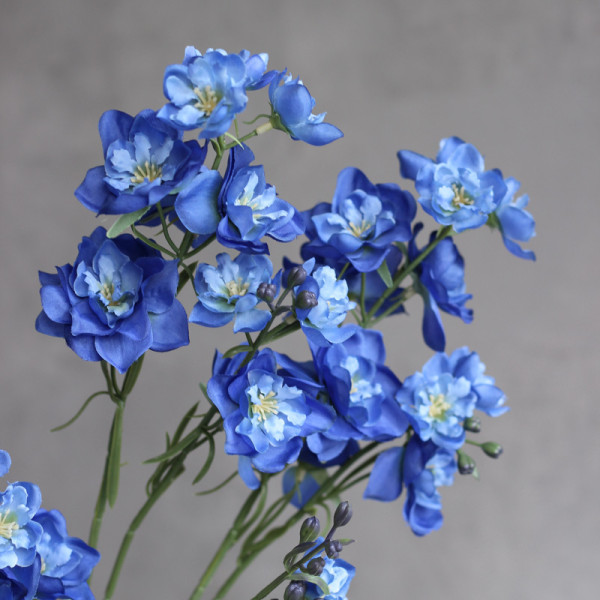 Дельфініум larkspur синій