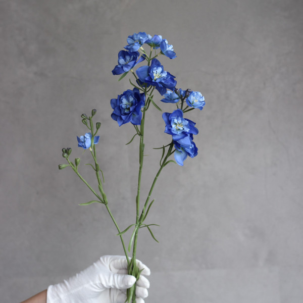 Дельфініум larkspur синій