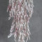 Зелень ампельна нюдова велика