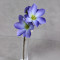 Магнолія блакитно-фіолетова 40 см
