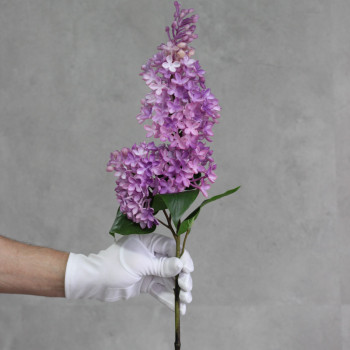 Бузок латексний DEluxe ліловий