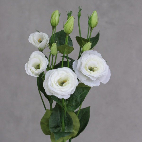 Еустома Premium white