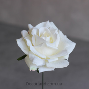 Троянда Леді біла №606