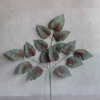 Листя зелено- багряне