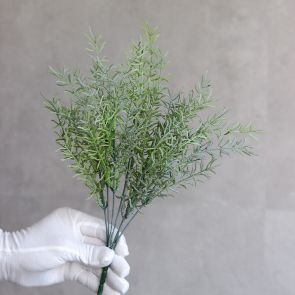 Аспарагус попелясто-зелений букет