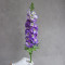 Дельфініум фіолетовий 