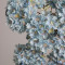 Гілка Мірти блакитна