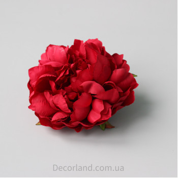 Піон Іто червоний