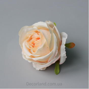 Троянда персикова