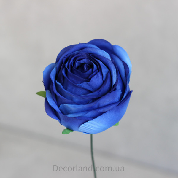 Зефірка синя