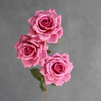 Троянда Леді х3 pink