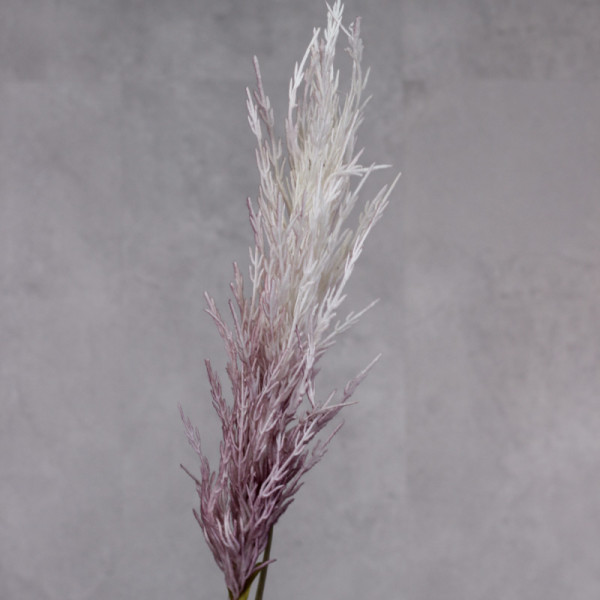 Картадерія флок mauve