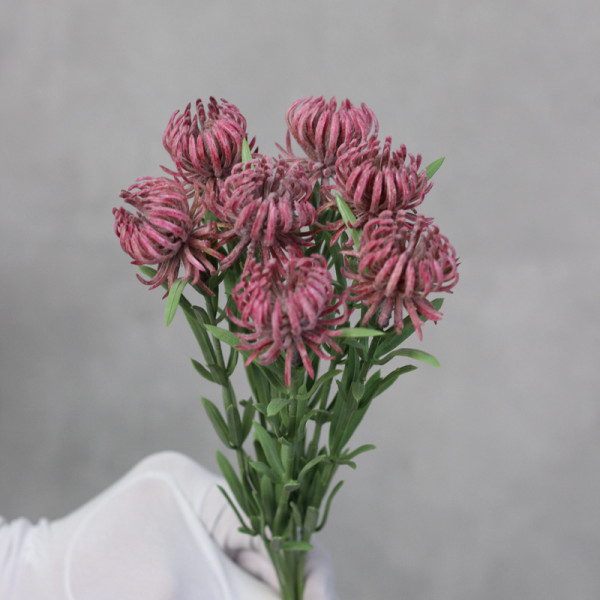 Осет маджента букет