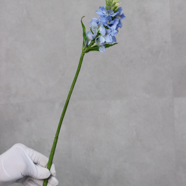 Орнітогалум блакитний