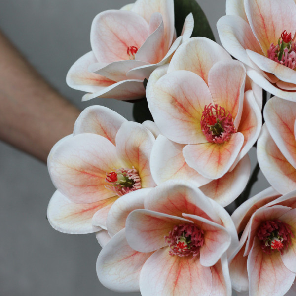 Магнолія латексна світлий персик букет