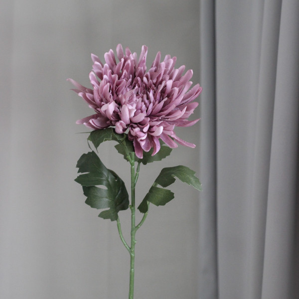 Хризантема на стеблі mauve