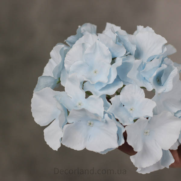 Гортензія 17 см baby blue