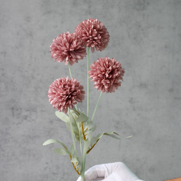 Часничок mauve №0813