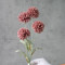 Часничок mauve №0813